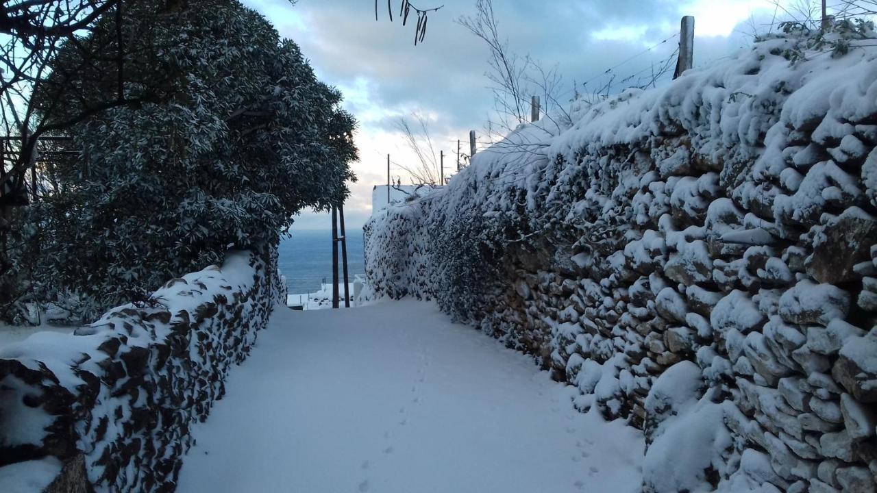 Apartment Vuk I Novak Ulcinj Luaran gambar